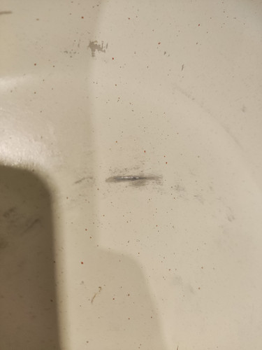 IMG 20231212 110216.jpg