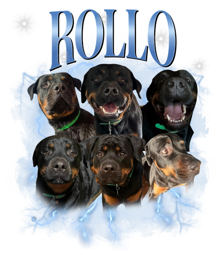 Rollo.png