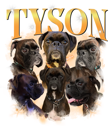 tyson.png