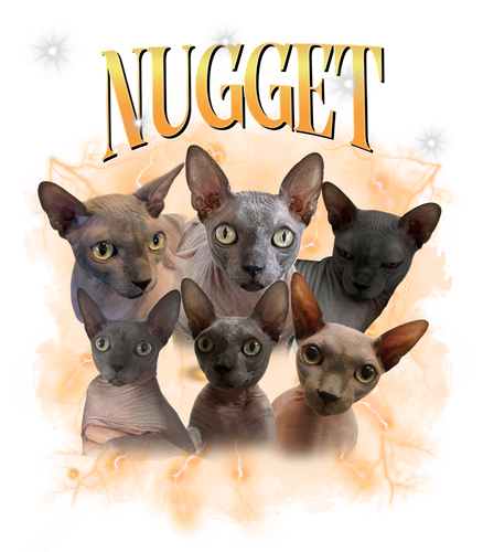 Nugget.png
