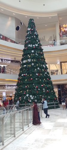 IMG 20231212 123547.jpg