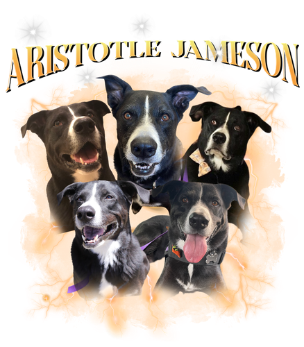 Aristotle Jameson.png