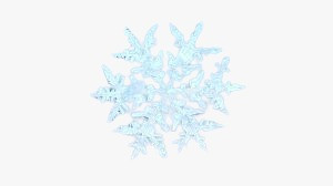 IMG 20231212 WA0000.jpg