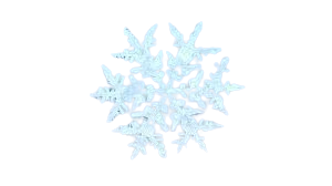 images 42 removebg preview (1).png