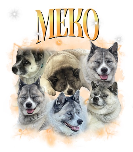 MEKO.png