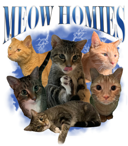MEOW HOMIE CUS.png