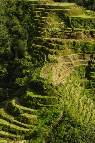 Ifugao Province.jpg