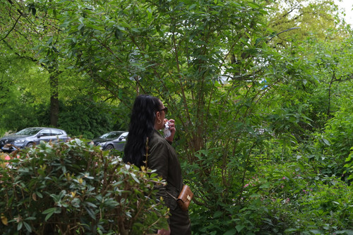 DSCF1512.jpg