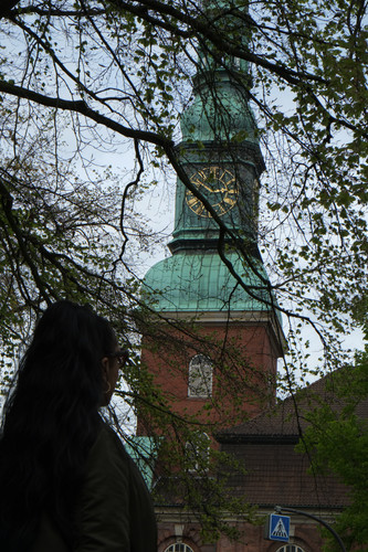 DSCF1516.jpg