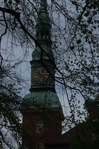 DSCF1546.jpg