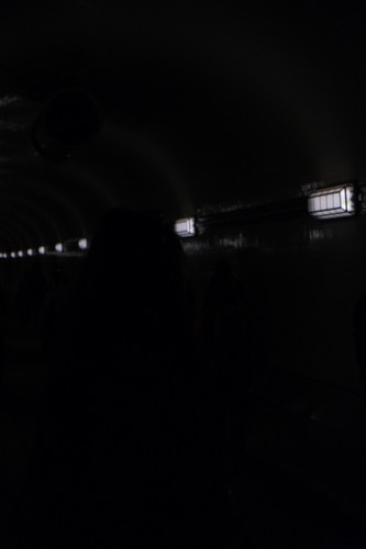 DSCF1631.jpg