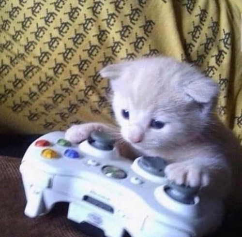 image.jpg