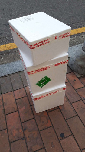 file.jpg