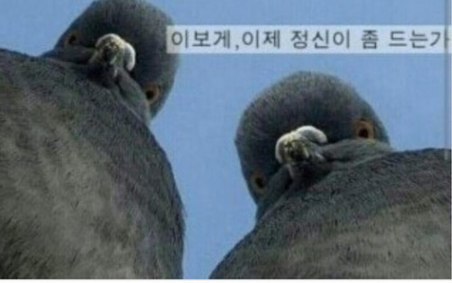 file.jpg