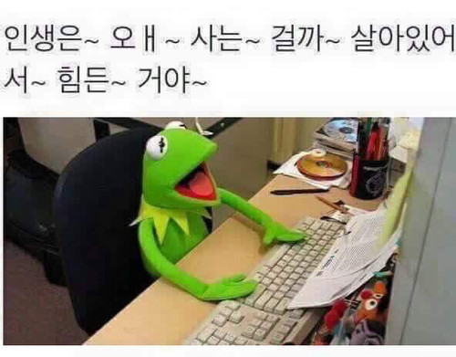 file.jpg