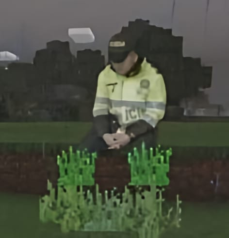 image.jpg