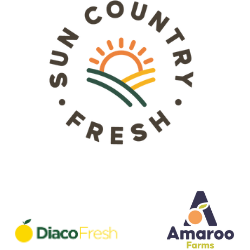 SCF horizontal transparent.pdf (Logo) (6).png