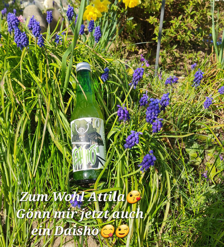 IMG 20240428 175138 187.jpg