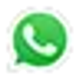 icon whatsapp.png