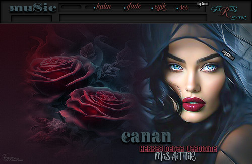 Canan Herkes Deger Verdigine.jpg