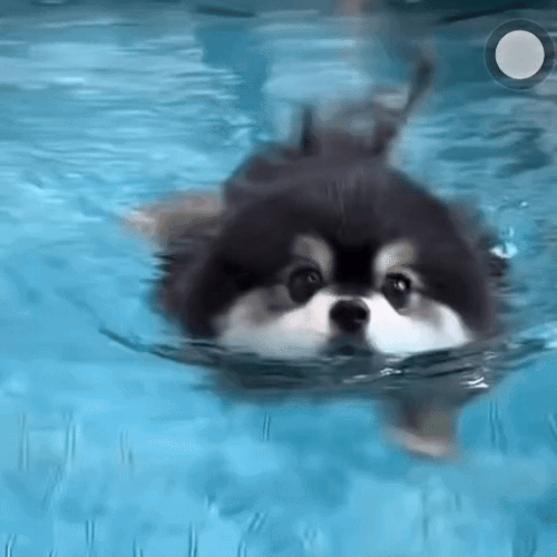 Video 20240428 055820 381.gif