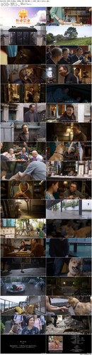 Hachiko.2023.BluRay.1080p.DTS HD.MA5.1.x265.10bit beAst preview.jpg