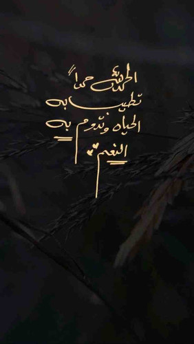 DDDE1DE3 01B0 4A5F A775 888473860070.jpg