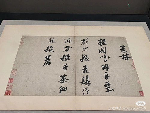 Camera XHS 17141242742521040g00830ulrj51d56105n44tg14ndocbg0sc30.jpg