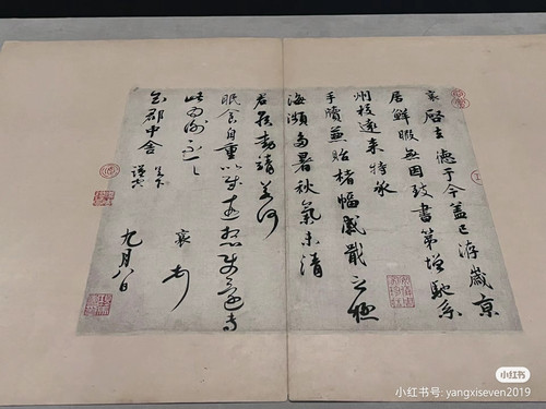 Camera XHS 17141242768261040g00830ulrj51d561g5n44tg14ndocc7iic20.jpg