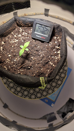 0fa14e87 da7f 4abf 9961 476b8ab21dec.jpg