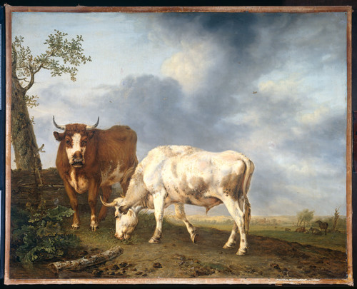 Kobell, Jan II Волы на лугу, 1806, 67 cm х 84 cm, Холст, масло