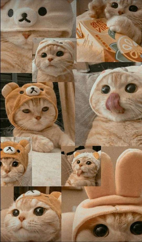 file.jpg