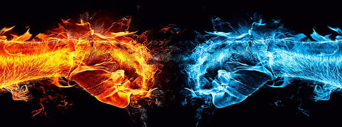 62d5e424 d5e0 4b3f ba62 f7b8ceb9d8bc.jpg