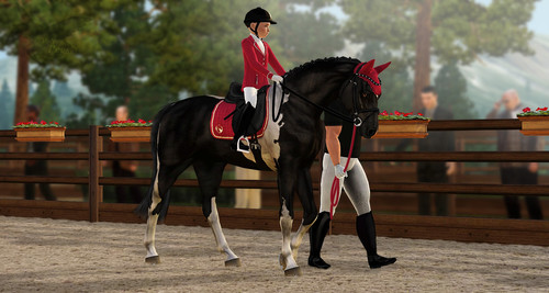 Belle Zwergenführzügel BE.jpg