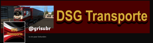 dsg Banner.png
