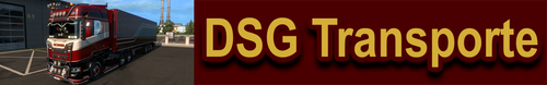 DSG Transporte Banner.png