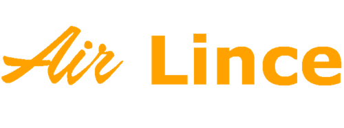Air Lince copia logo.png