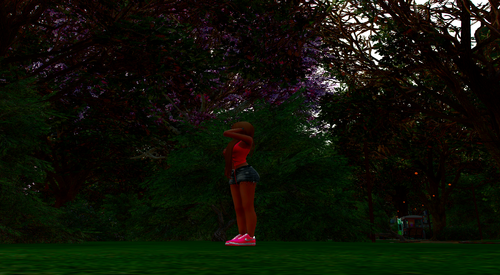 image 29.png