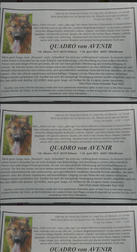 Todesanzeige Hund.png