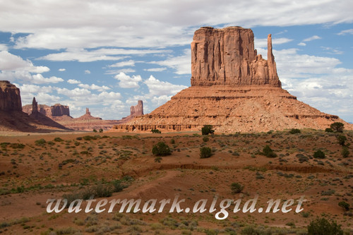 watermark sample big 8