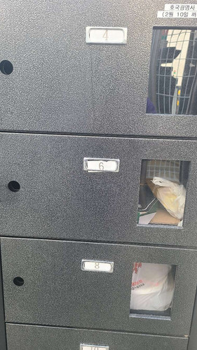file.jpg