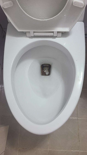file.jpg