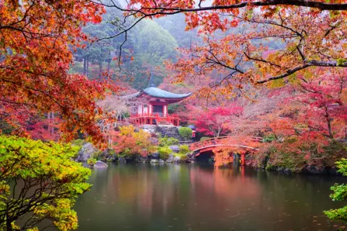 depositphotos 106044148 stock photo kyoto temple in autumn