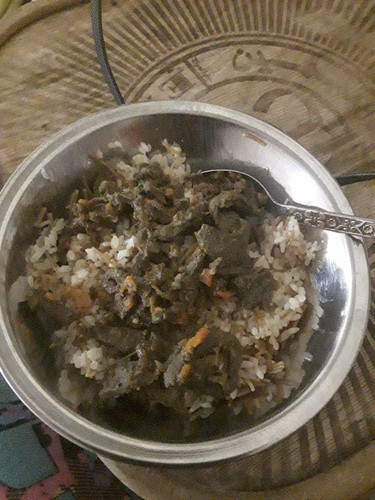 ٢٠٢٤٠٤٢٨ ٢١٠٦٤١.jpg