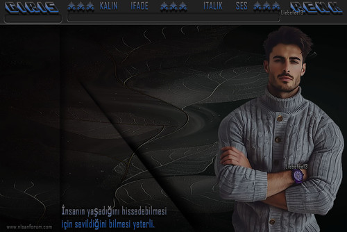 Bay Radyo Tema 204 liebefee13