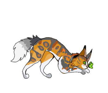 Без названия1301 20240427204150.png