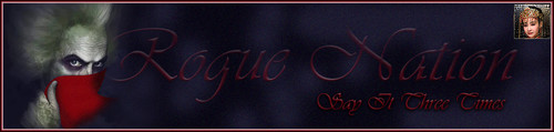 Beetle Banner.jpg