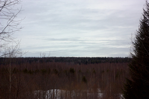 IMG 1173.jpg