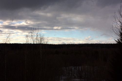 IMG 1232.jpg