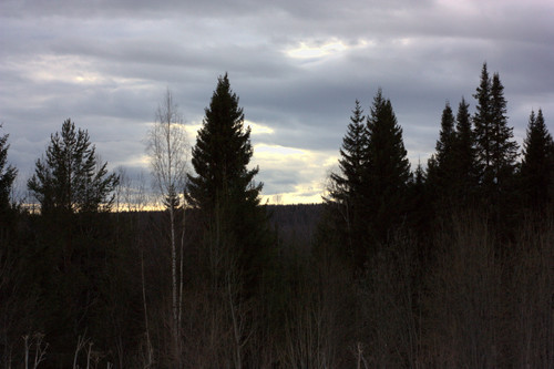 IMG 1204.jpg